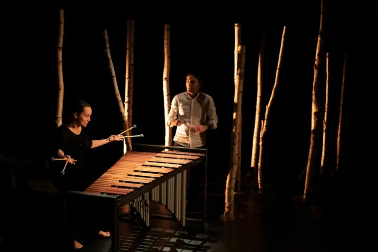 Spectacle Au plus secret des bois, à la Bâtie d'Urfé à Saint-Étienne-le-Molard