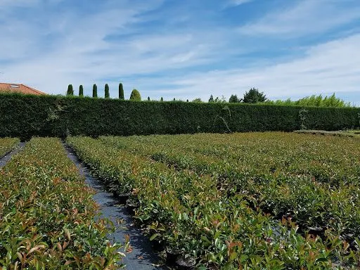 Berger Pépinières SCA à Montbrison