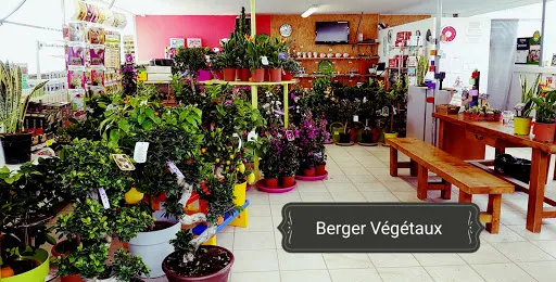 Berger Végétaux à Montbrison