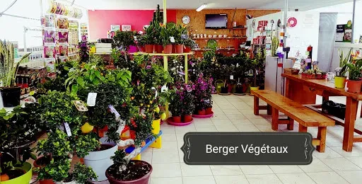 Berger Végétaux à Montbrison