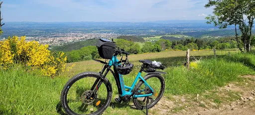 Cycles Sprint à Montbrison
