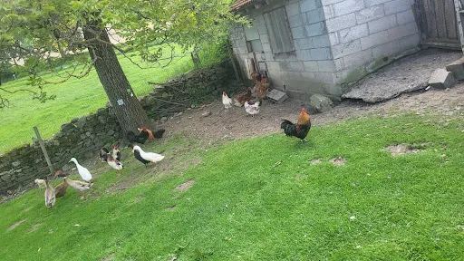 Jardin d'Enfants Le Jardin des Couleurs à Montbrison