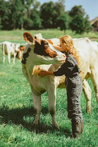 Laura Beaurez - Ostéopathe Animalier à Montbrison