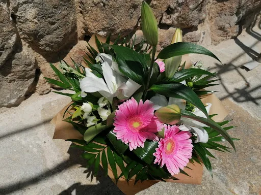 Nature et Sens à Montbrison