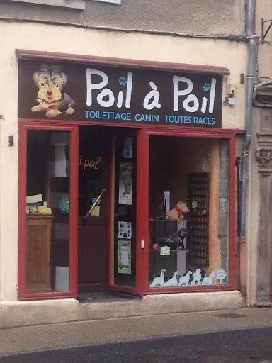 Poil A Poil à Montbrison