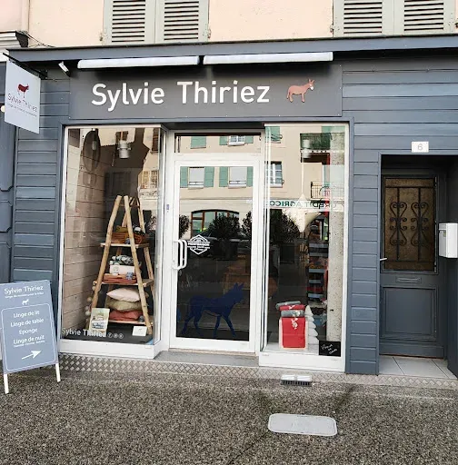 Sylvie Thiriez Montbrison à Montbrison